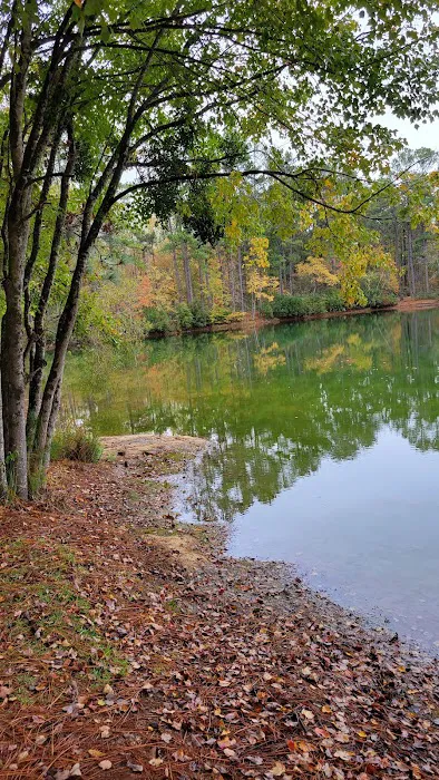 Pine Lake RV Resort Picture 1