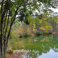 Pine Lake RV Resort ico