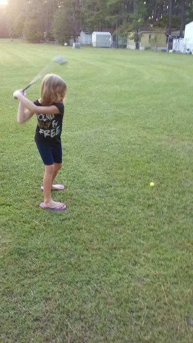 Green Pines Mobile Home Park Picture 6