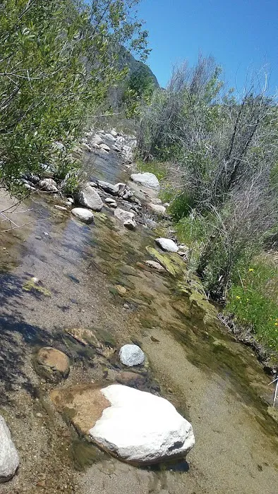 Rio Baranca Valle Group Campground Picture 5