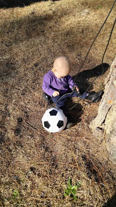 Shady Lane Mobile Home Park Picture 6