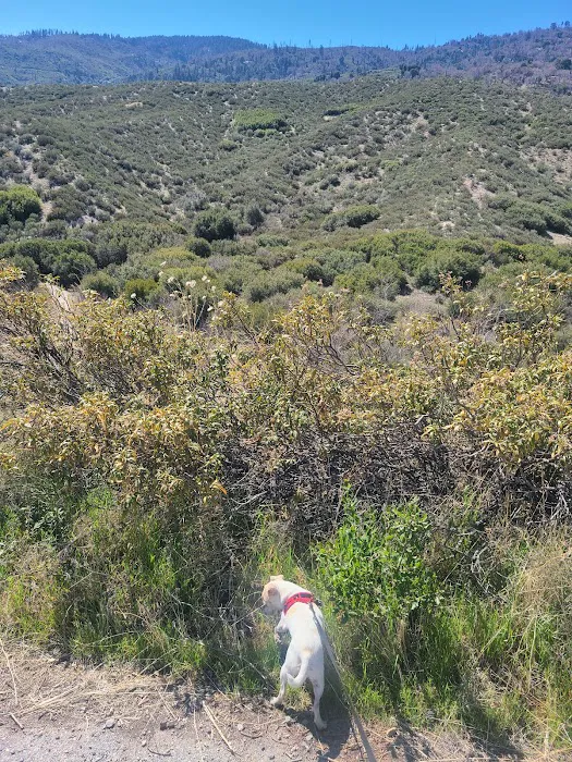 Old Mesa Campground Picture 5