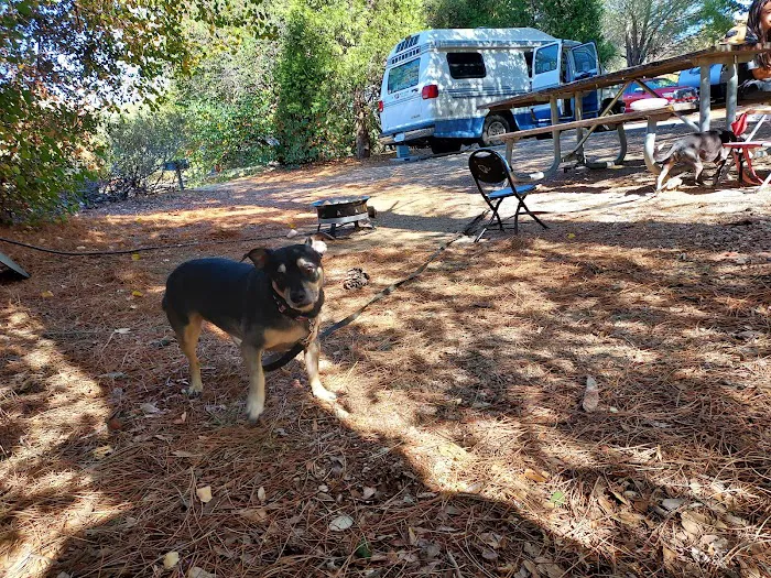 Old Mesa Campground Picture 8