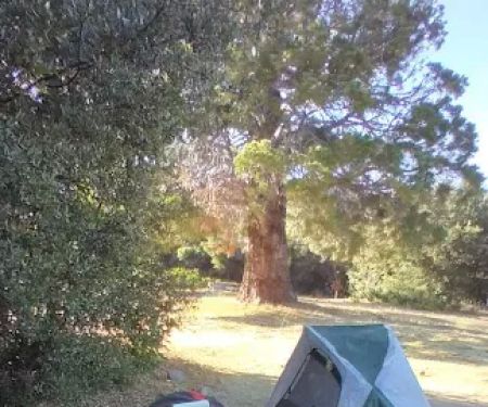 Silverwood Lake Hike & Bike Sites