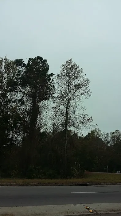 Port-O-Pines Estates Picture 1