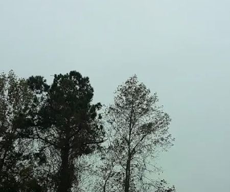 Port-O-Pines Estates