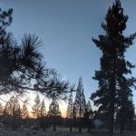 Frazier Park Campsite