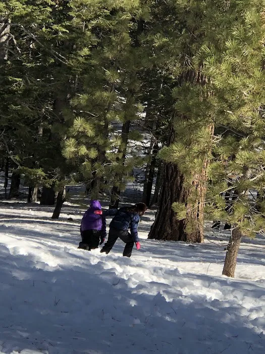 Frazier Park Campsite Picture 4