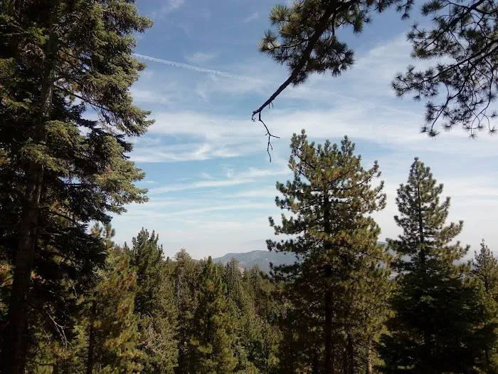 Frazier Park Campsite Picture 10