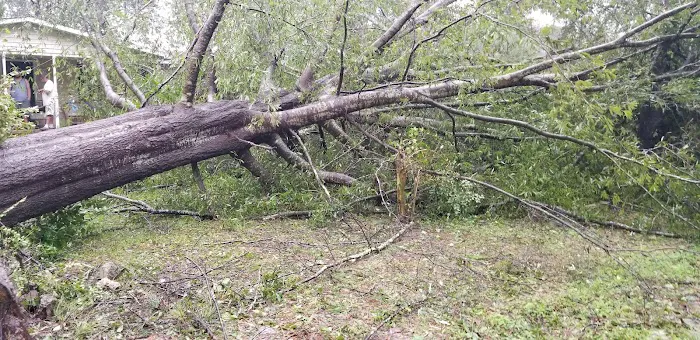 Glynnwood Mobile Home Park Picture 6