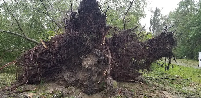 Glynnwood Mobile Home Park Picture 7