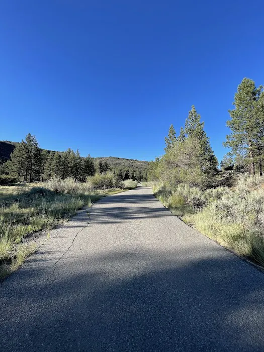 Chuchupate Campground Picture 5