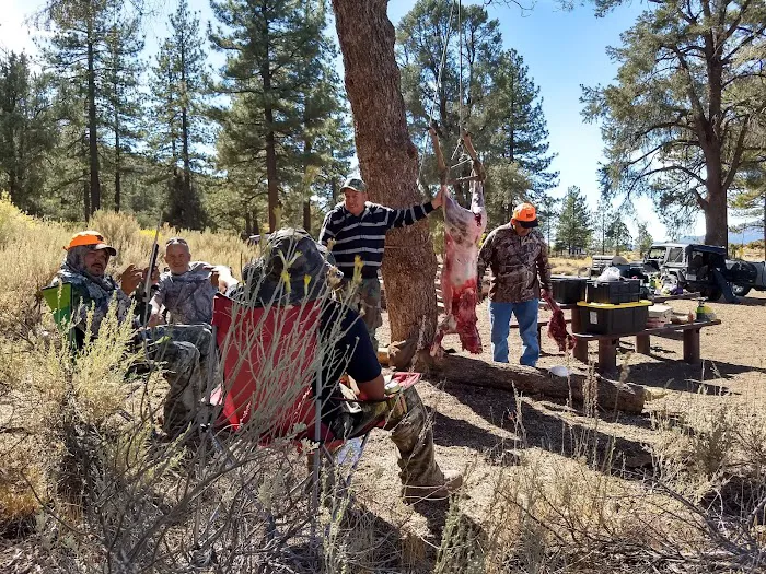 Chuchupate Campground Picture 10