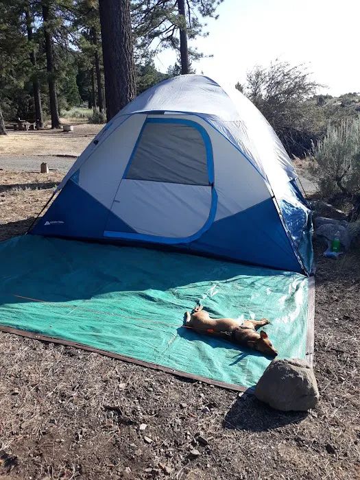 Chuchupate Campground Picture 9