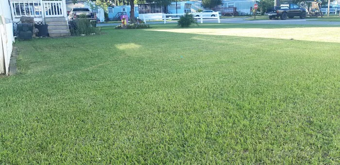 Royal Palms Mobile Home Park Picture 2