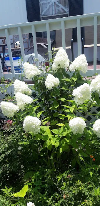 Royal Palms Mobile Home Park Picture 3