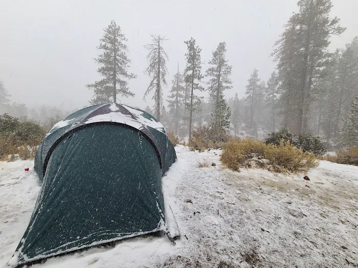 Pine Springs Campground Picture 6