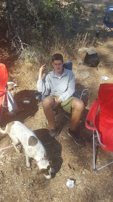 Pine Springs Campground Picture 9