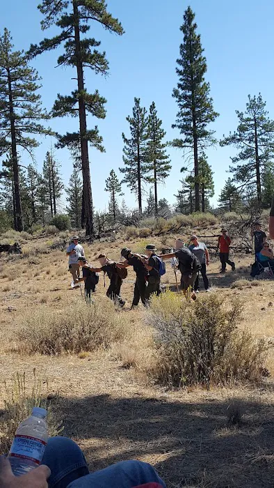 Pine Springs Campground Picture 5