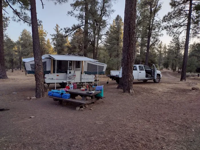 Pine Springs Campground Picture 3