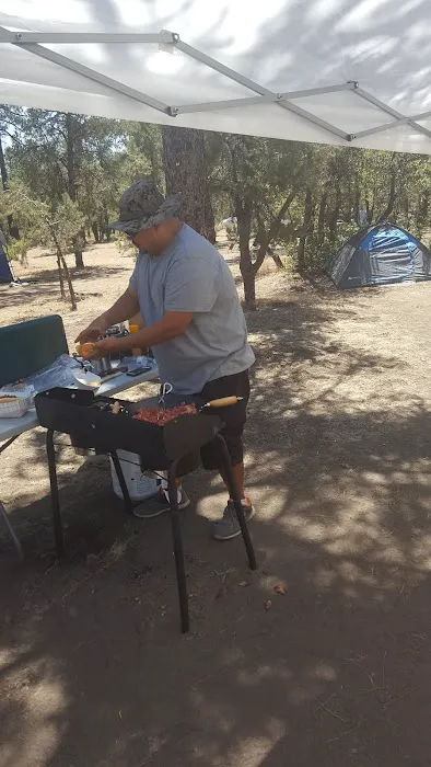 Pine Springs Campground Picture 8