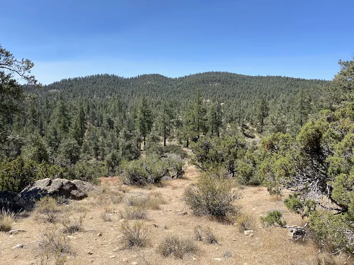 Pine Springs Campground Picture 7