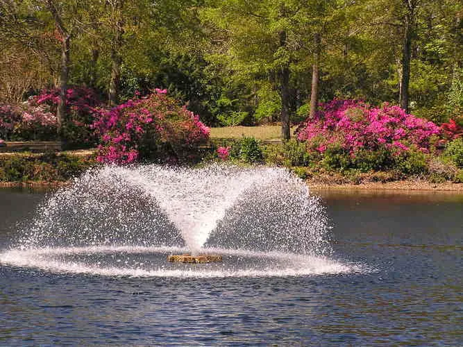 Coastal Estates Picture 5