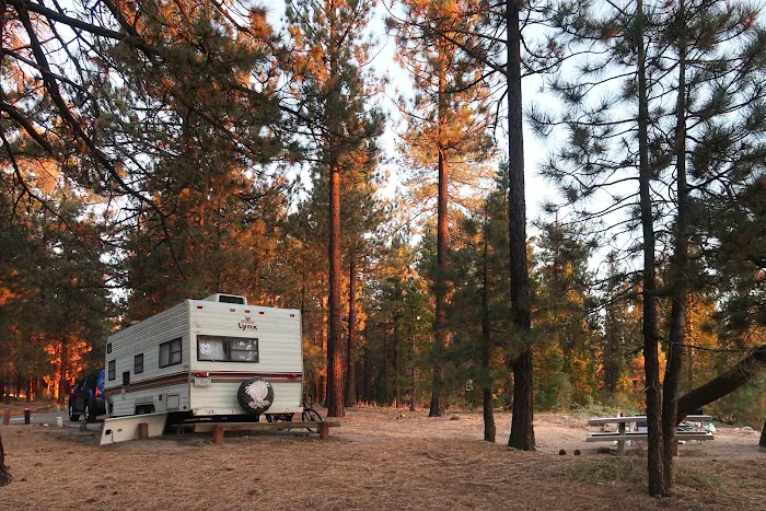 McGill Campground Picture 5