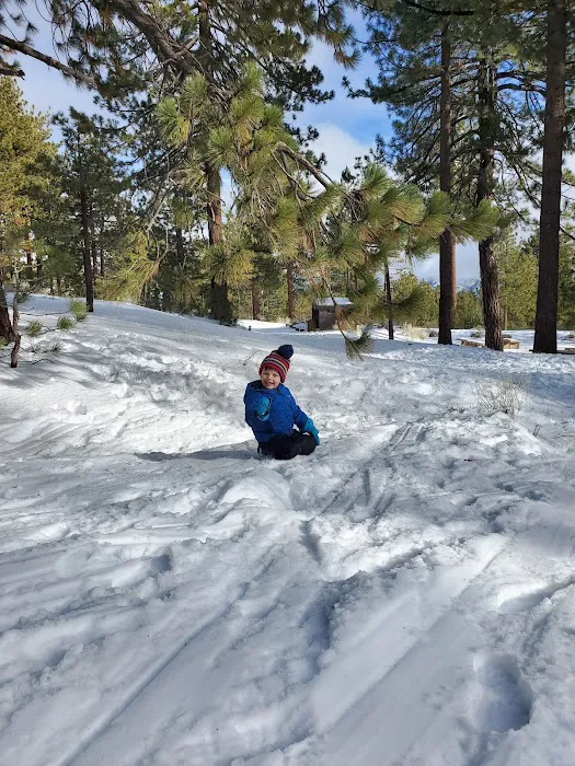 McGill Campground Picture 1