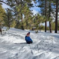 McGill Campground ico