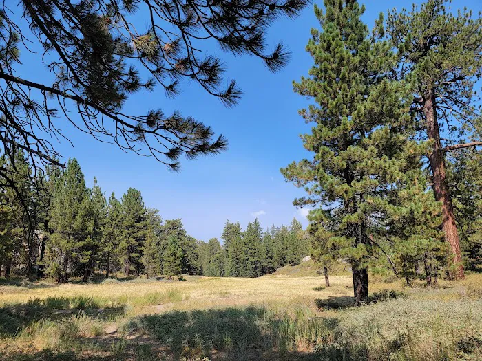 McGill Campground Picture 7