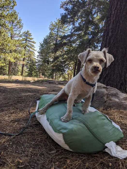 McGill Campground Picture 6
