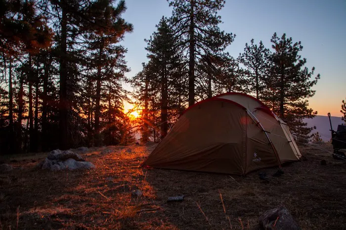 Mount Pinos Campground Picture 2