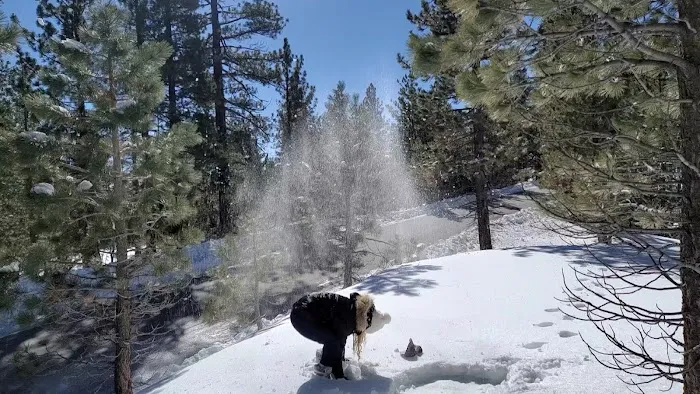 Mount Pinos Campground Picture 5