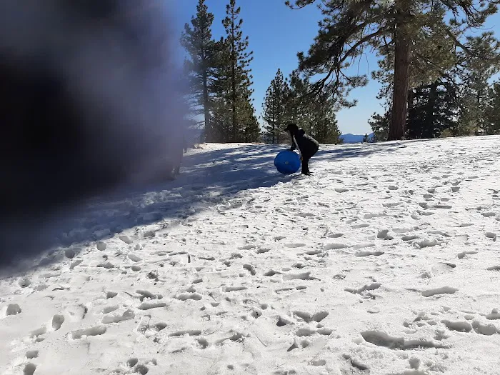 Mount Pinos Campground Picture 3