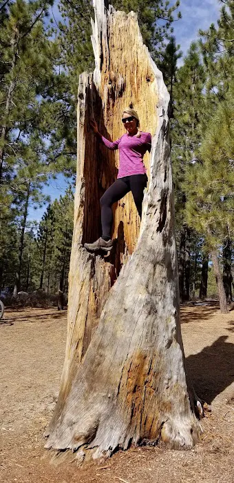 Chula Vista Walk-In Campground Picture 6