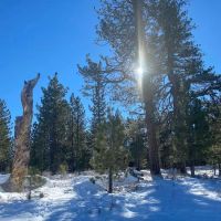 Chula Vista Walk-In Campground ico