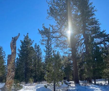 Chula Vista Walk-In Campground