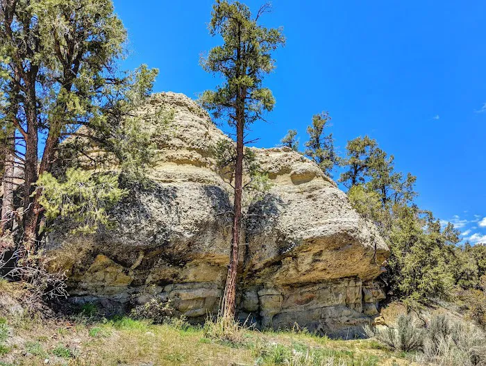 Lily Meadows Campground Picture 7