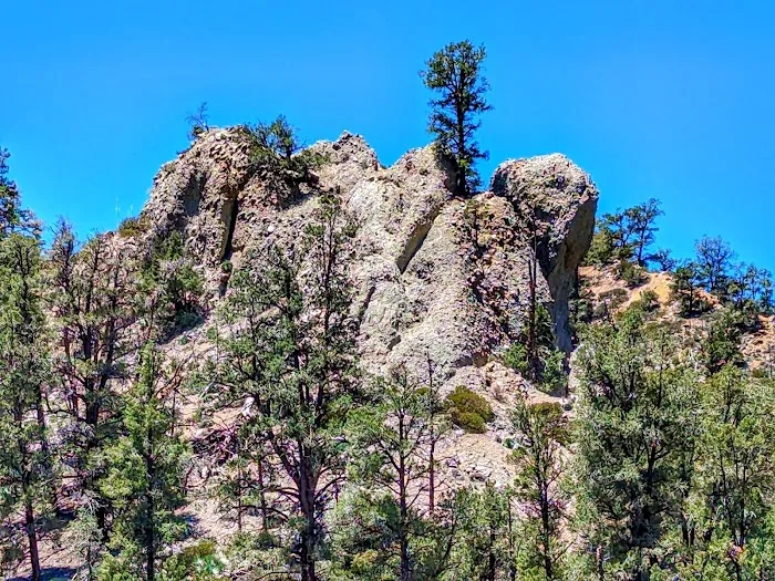 Lily Meadows Campground Picture 8