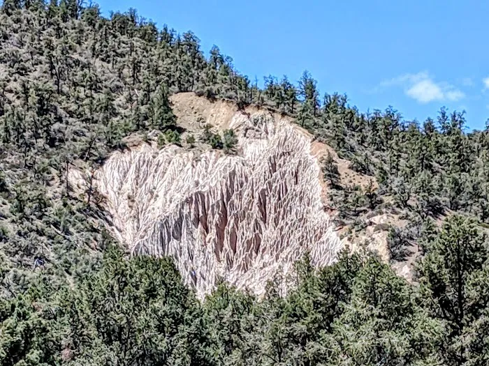 Lily Meadows Campground Picture 3