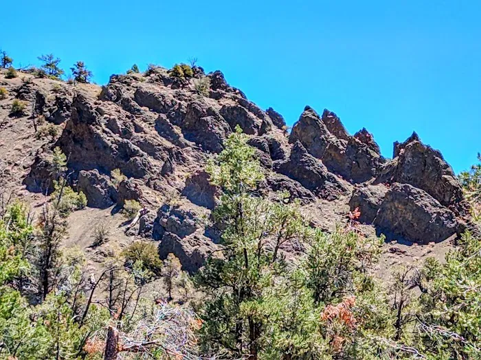 Lily Meadows Campground Picture 6