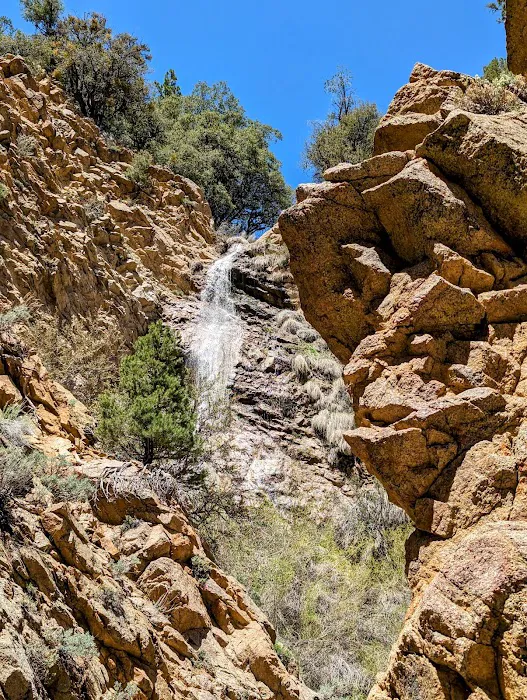 Lily Meadows Campground Picture 2