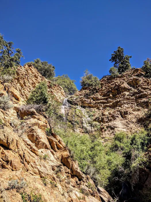 Lily Meadows Campground Picture 10