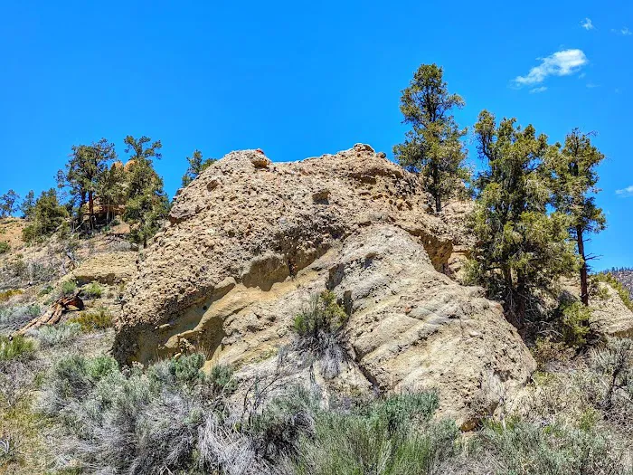 Lily Meadows Campground Picture 4