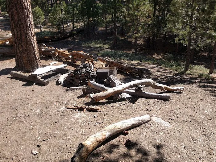 Sheep Campground Picture 6
