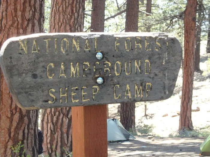 Sheep Campground Picture 2