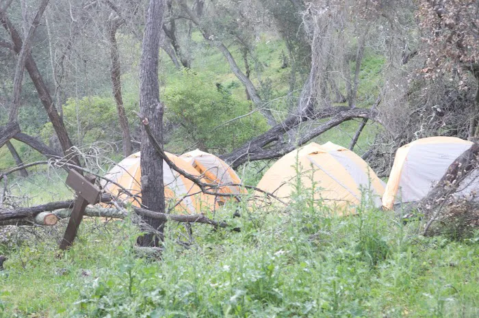 Camp Willett Headquarters Picture 8