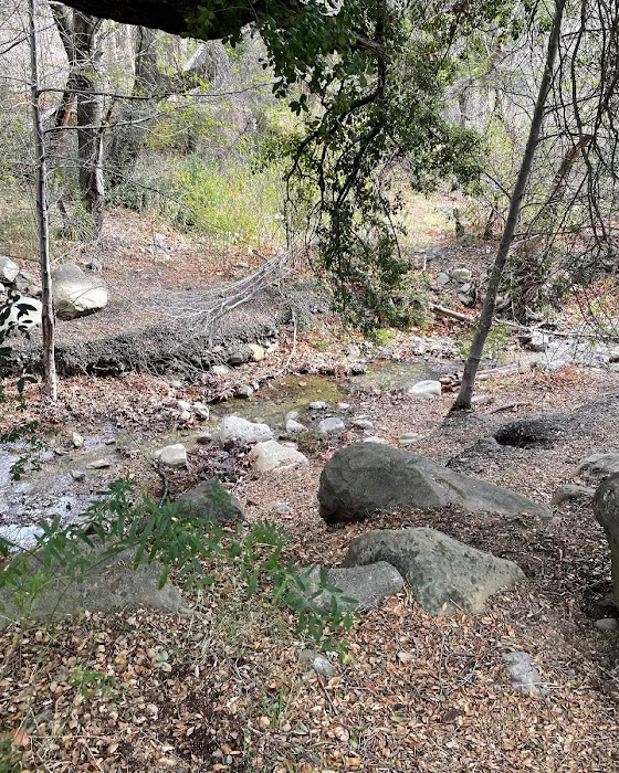 Wheeler Gorge Campground Picture 10