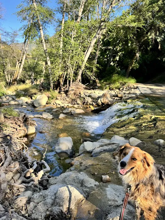 Wheeler Gorge Campground Picture 4